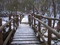 만수계곡의 겨울 썸네일 이미지