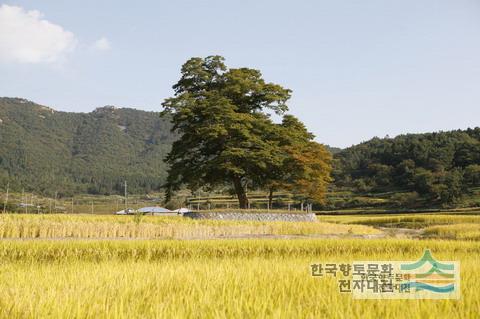 대표시청각 이미지