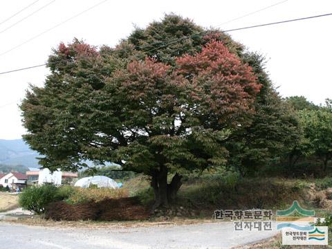 대표시청각 이미지