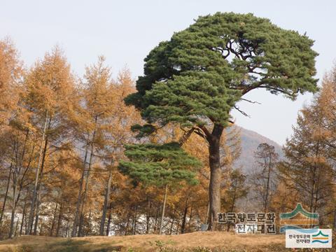 대표시청각 이미지