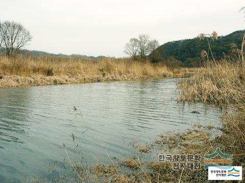 대표시청각 이미지