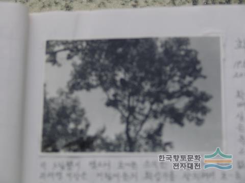 대표시청각 이미지