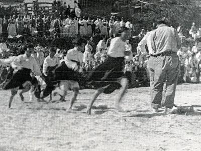 덕산초등학교 가을 운동회[1956년] 썸네일 이미지