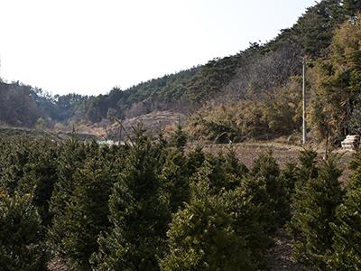 화천리 아랫말 토기 가마터 썸네일 이미지