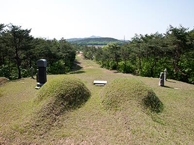 김홍욱 묘 뒷면 썸네일 이미지