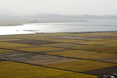 도비산 전망대에서 본 A지구 썸네일 이미지